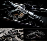 Armas e Munição em Campina Grande