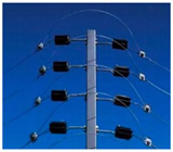 Cercas Elétricas em Campina Grande