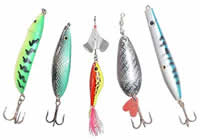 Lojas de Pesca em Campina Grande
