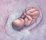 Obstetras e Obstetrícia em Campina Grande