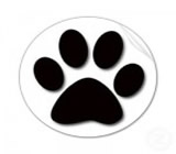 Pet Shops em Campina Grande