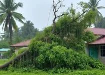 chuva em Campina Grande