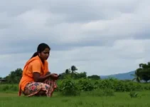 Educação em Tempo Integral