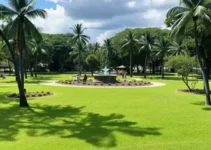 Parque Evaldo Cruz