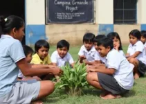 Projeto Paz pela Paz na Escola