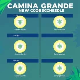 concurso Campina Grande