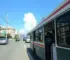 passe livre transporte público eleições Campina Grande
